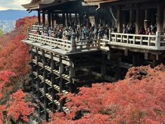 紅葉を見に京都へ　～東福寺・永観堂禅林寺・南禅寺・清水寺～