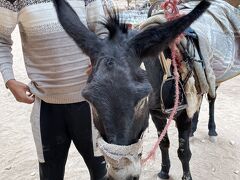 ドキドキ&#11088;&#65039;ヨルダン②ペトラ遺跡でロバに乗る