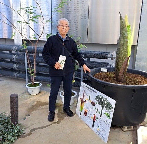 ◆先日(2023.11.21)、「小石川植物園」に行って来ました。<br />　NHK朝ドラ「らんまん」で主人公の「牧野富太郎」の「大日本植物志」等が展示されている(12/17まで)との情報があったので見学に行きました。<br />　「小石川植物園」は、広大な敷地に、珍しい植物が植えてあり、その殆どに名前のプレートが付いていて、勉強になりました。<br />日本庭園もあるので、見学時間を約2時間のをみておきましたが、それでも時間は足り間かったです。