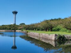 犬たちと行く函館２泊３日その３