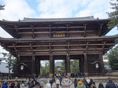 奈良公園を散策。修学旅行生と外国人であふれていました。