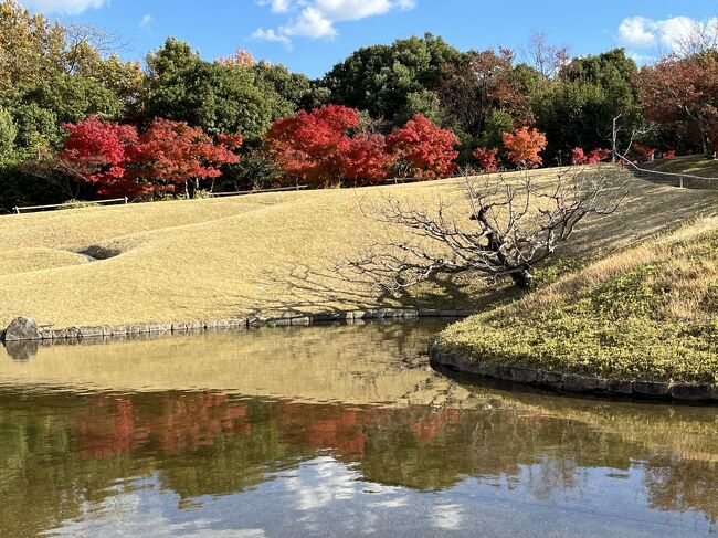 京都紅葉散歩の第４弾です。<br />下鴨神社傍の旧三井家下鴨別邸の【秋の特別公開　主屋2階・3階望楼～秋色に染まる東山の絶景を、明治期の展望台から～】が実施されていたので訪れました。今回見学できる3階望楼（展望台）は狭く、人数制限されているので事前に申し込む必要がありました。<br />別邸は下鴨神社の直ぐ傍なので、見学後下鴨神社にお参りし紅葉を楽しみました。<br />その後梅小路公園の「朱雀の庭」の見事な紅葉庭園を見学、京都伊勢丹の「赤福」に寄り、事前注文していた朔日餅を受け取り帰宅しました。今日も晴天に恵まれ良い一日となりました。今年の紅葉散歩はこれまでかな。<br /><br />青空のもととってもべたな京都紅葉散歩シリーズ<br /><br />青空のもととってもべたな京都紅葉散歩シリーズ（１）（哲学の道・法然院・銀閣寺）<br />https://4travel.jp/travelogue/11867950<br />青空のもととってもべたな京都紅葉散歩シリーズ（２）（智積院・方広寺・五条界隈・鮨「えび奈」で昼食）<br />https://4travel.jp/travelogue/11870080<br />青空のもととってもべたな京都紅葉散歩シリーズ（３）（（岩倉実相院・志明院・宝が池・常照寺・源光庵）<br />https://4travel.jp/travelogue/11871042<br />