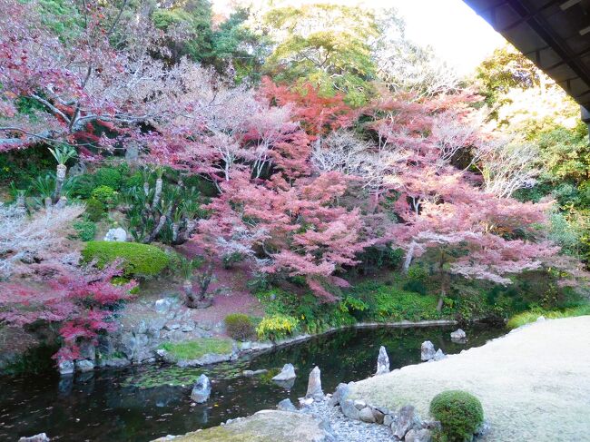 ２０２１年１１月　山口県　宇部市　宗隣寺に紅葉を見に行きました