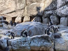 長崎へ～ペンギン水族館～
