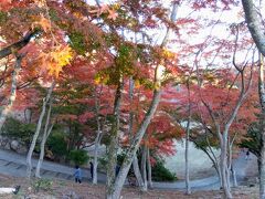 伊豆 ★ グルメと紅葉 てんこ盛りバスツアー