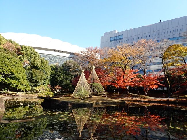 今年はあまり紅葉を見てなくて、急遽近場に行くことに。<br /><br />都立庭園では『紅葉めぐりスタンプラリー』を開催中でした。<br /><br />銀杏とかは散っていて終盤という感じでしたが雨上がりのキリッとした空気の晴天の中、久しぶりにのんびりした時間を過ごしました。