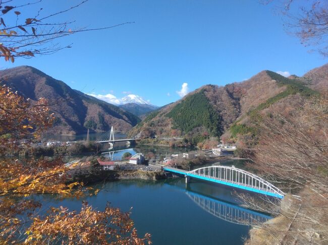 紅葉シーズンも終盤に向かいつつ有り近くで楽しもうと丹沢湖、三保ダムの紅葉を見てきました。モミジ、銀杏等の単体では非常に奇麗な木も有りましたが、山、湖周辺全体の眺めは今一で時期が合わなかったのかと少し残念でした。<br />天気は上々で散策には持って来いの（少し暑すぎる）一日で多いに楽しめました。　<br />大仏大橋を渡り千代の沢園地駐車場、横に「関東富士見百景」展望台の看板あり、登って見ました。急階段も有りますが１０分位で登れますし富士山も良く見え、丹沢湖周囲全体が良く分かります。<br /><br />帰路で立ち寄った道の駅では地場産の野菜、果物、弁当、菓子等販売されており野菜、土産等買いました。