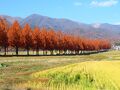 滋賀県の旅行記