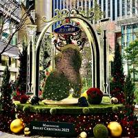 2023年秋:『Marunouchi Bright Christmas』の中hikkoさんとダイナミックキッチン＆バー 響有楽町店でランチ♪