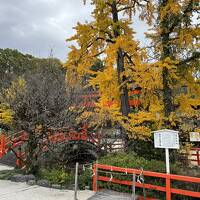 紅葉の京都（１）　～八瀬もみじ回廊から下鴨神社へ～