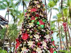 ホリデーシーズンのハワイ☆クリスマスツリーを一挙にご紹介
