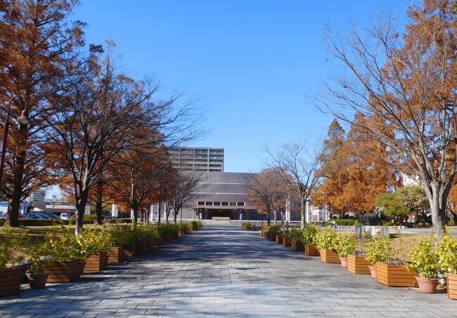 　イベントで渡辺翁記念会館の見学と松厳園に行きました。<br />渡邊翁記念会館は何度か見学をしたことがありますが、松厳園で紅葉を見ながらヨガも面白そうなので参加しました。