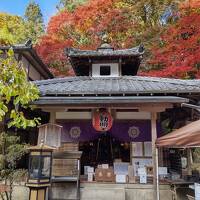 京の錦秋めぐり2023①　安祥寺・毘沙門堂門跡・山科聖天／あさぎ美術館