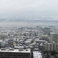 世界がうらやむ盛岡で初雪