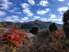 京の錦秋めぐり2023②　白砂村荘・大文字火床ハイキング・八神社・法然院・京都タワー