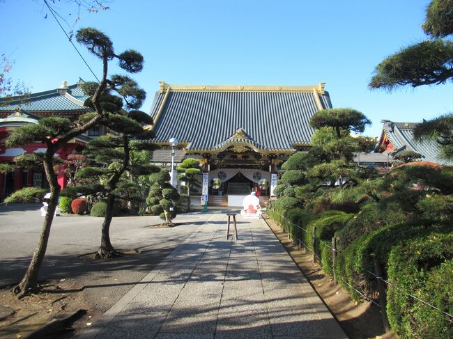 館林市にあるカルピスみらいのミュージアム見学を予約したことから、舘林市と佐野市の寺社仏閣と田中正造にまつわる見学地を調べて巡りました。足尾銅山鉱毒被害を訴える人々が集まった雲龍寺、田中正造記念館、舘林城跡、旧二業見番組合事務所などに寄ってから、工場見学をしました。茂林寺などに寄り、佐野市に行きました。佐野厄除け大師の惣宗寺や周辺の寺に行って、佐野市郷土博物館で田中正造の活動を詳しく学びました。駆け足で巡りましたが、学びの一日でした。