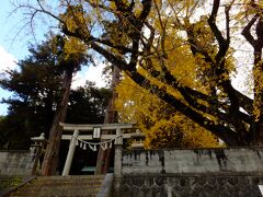 知る人ぞ知る銀杏の紅葉