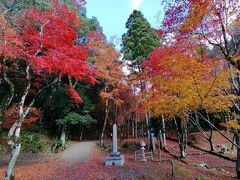’２３　滋賀湖北周辺紅葉旅１０　木ノ本駅からバスで鶏足寺の紅葉を見に行く