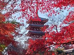 紅葉の東漸時と本土寺に行ってきました