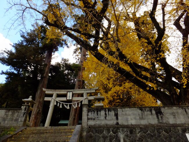 和歌山県かつらぎ町にある「賀茂神社（かもじんじゃ）」に銀杏を見に行きました。<br />穴場的な大銀杏です。山間の小さな神社にひっそりとその木はありました。<br /><br />拝観無料。駐車場は神社前に2台分（軽なら3台停められるかも）。