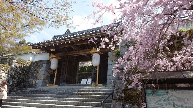 　年２回の高校クラス仲間との集まり。今回は「京都人の密かな愉しみ」ロケ地巡りの１２回目で桜の京都を大原から左京区、東山区と歩いた。<br />　最初は大原。目的地は「京都人の密かな愉しみ　Blue 修行中」に登場するタエさんと鋭二の家と畑。好天に恵まれ大原三千院は満開の桜が青空に映えて美しかった。ロケに使われたタエさんと鋭二の家は現在古民家レストランでこの日は休日。畑は「見渡す限り大原の里」で撮影されたようだ。<br />