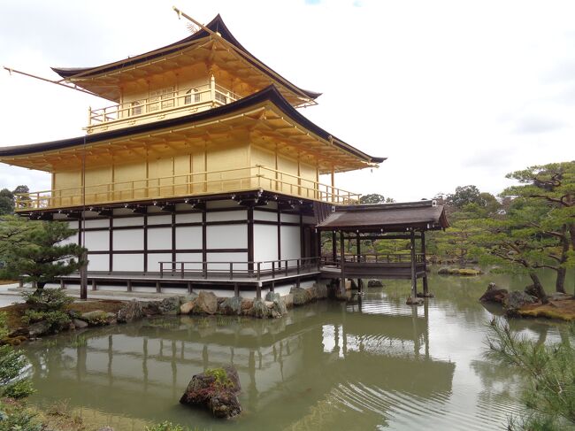 平安神宮を見学した後は，バスに乗って鹿苑寺（金閣寺）へ．流石に京都でも１，２位を争う観光地だけあって，外国人観光客を含めて大勢の人で一杯でした．金閣寺の梵鐘は1回200円で鳴らすことが出来ました．また，拝観料は400円で，これだけ観光客が来ているにも拘わらず，「現金」のみでしか払えないのが少し？だったです．金閣寺のベストポジションでは，常に満員のお客様で，なかなか空きませんでした．中には集団での写真撮影がダメな場所もありました．金閣寺からは仁和寺へ．実は金閣寺周辺にはバス停がいくつもあるので，なかなか仁和寺方面へ行くバスのバス停が見つかりませんでした．仁和寺では「御室桜」を見るのを楽しみにしていたのですが，残念ながらまだつぼみ状態でした．受付で伺ったところによると，御室桜は京都でも遅く咲くのだそうです．仁和寺の建物は殆どが重要文化財か国宝で，とても立派です．見る場所によって料金が違うので，どこを見るかを予め決めておいた方が良いと思います．