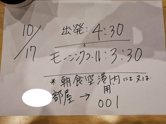 10月16日　前回アップしたヴィクトリアの滝のヘリコプター観光を朝一番に終えて、ジンバブエ・ヴィクトリアフォールの空港から南アフリカ・ヨハネスブルグ経由でケープタウンに移動･･･の予定でしたが、「Travel is trouble」。<br /><br />フライトの大幅遅延で、ヨハネスブルグでの乗り継ぎが出来なくなり、ツアースケジュールは大混乱。<br /><br />ケープタウンへはいつ行けるの？　今夜どこに泊まるの？　夕食は？　どうする添乗員さん････添乗員さんは大変。でもツアー客は他人事みたい。<br /><br />画像は、急遽宿泊することになったヨハネスブルグの安宿で渡された翌朝スケジュール。遅れを取り戻すべく朝一番のフライトなので3時半起床です･･･って、寝る時間ないじゃん。