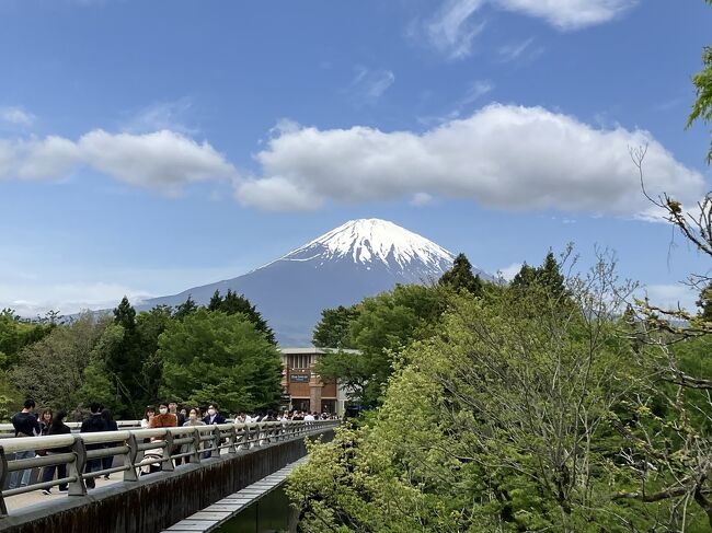 日帰りで御殿場にある、とらや・プレミアムアウトレット・さわやかへ行ってきました。<br />とらやの抹茶と羊羹、美味でした。<br />プレミアムアウトレットから富士山がはっきり見えました。さわやかは3時間待ちでしたが、あちこち回っていたので、長く待ったという感覚はないです。番号券を受け取ってから出かけて戻って来るという方が多いと思われます。