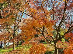 今年最後の紅葉「真如堂(真正極楽寺」