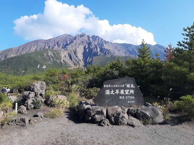 2023年11月。７年ぶり？に鹿児島観光を企画しました。<br /><br />鹿児島は大体指宿に行くのですが、今回はその前にさらに久しぶりになる（というより真面目に観光したことがない）桜島と、こちらも観光していそうでしていない鹿児島市内を加えています。<br /><br />この旅行記は、島津家が作った別邸の仙巌園と桜島を中心にしたものです。