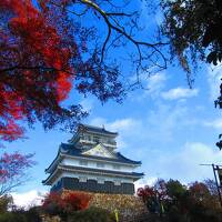 全国地紅茶サミットと岐阜の旅　②岐阜市内編（ちょっと名古屋も）