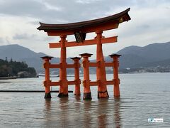 世界遺産『宮島・厳島神社』を訪ねて