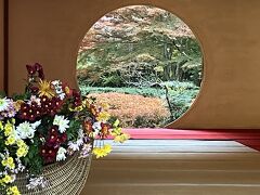 紅葉を見に円覚寺、明月院、建長寺、鶴岡八幡宮をまわり、最後に長谷寺のイルミネーションを見に行きました