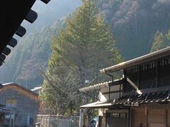 初冬の中山道をゆく ～ 信州鳥居峠越え