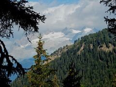 スイス・ハイキングの旅 2023夏（９）山山の展望を求めて(Binn-Hockbode-Fäld)