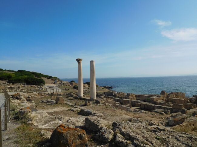 Oristano（オリスターノ）は、西サルデーニャに位置する人口約3万人の基礎自治体です。ティルソ川の河口に近く、Cagliari（カリアリ）の北西に位置します。この町は紀元前11世紀にTharros（タロス）の人々によって建設されました。TharrosはPunic city（プニック都市）で、近くにTharros遺跡があり、ローマ時代の遺跡も見られます。Punic city（プニック都市）とは古代のカルタゴやその植民地など、プニキア人（カルタゴの先住民族）に関連する都市を指します。<br />オリスターノは現在、農業と魚の缶詰加工（特にウナギやボラが主な対象）が行われる中心地となっています。<br />Olbiaに移動するためには途中の町で1泊するしかないと地図を見て選んだ滞在地Oristanoでしたが、B＆Bの若いご夫婦のおもてなしに感激し、見所も満載でしたので、次回はもっと長期滞在したいという気持ちが強くなりました。<br /><br />OristanoのB&amp;B &quot;Sardinia for you&quot;は、1泊だけの予約で早朝の到着にも関わらず、温かく笑顔で迎えていただき、急遽朝食もいただきました。お子様2人の仲の良いご夫婦が経営され、真面目で誠実なお人柄で、細やかなお心配りに感激しました。内装はサルデーニャ島らしく、客室とお風呂は清潔で機能的でした。朝食も美味しく、カプチーノもアメリカンコーヒーも本格的なお味でした。