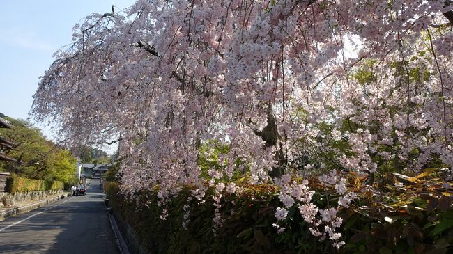 「京都人の密かな愉しみ」ロケ地巡り．１３　左京区から東山区へ