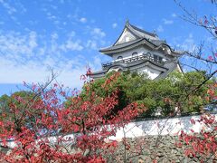 大阪府 岸和田市　岸和田城 界隈と 大威徳寺の紅葉