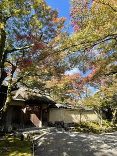 2023年 母と姪と行く早秋の京都【後半】嵯峨・嵐山散歩とまるで英国なTea Room