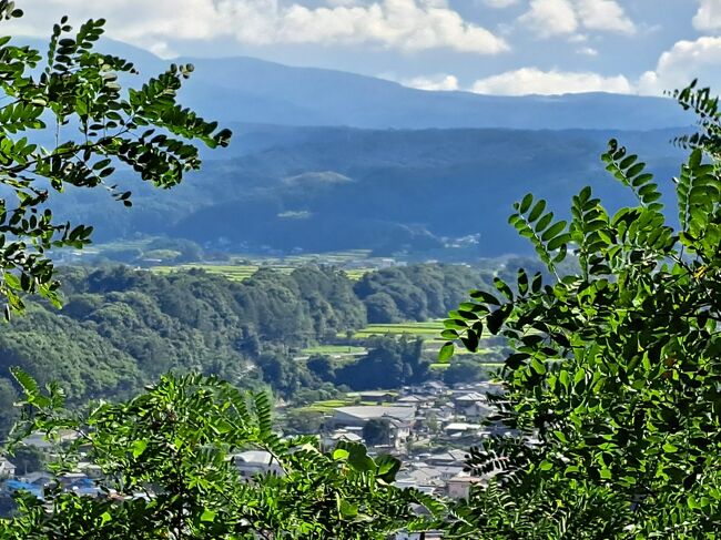 中山道歩きを始めたころ、夫が知り合いと話をしていて望月さんと言う方が望月宿出身だという話がでたのだそう。<br />まだ、都内を歩いている頃だったので、望月宿と言われても知らなかった夫。<br />家に帰って地図を見て、かなり先の話だね。<br />そこまでは無理かも、なんて会話をしていた。<br />中山道は半分も歩いていないけど、あの頃場所さえ知らなかった望月宿までついに歩く日となった。<br />そして上から見える望月宿の眺めに感動した。<br /><br />自分達の住む埼玉は越えたい、群馬も越えられたらいいねと始めた中山道。<br />望月さんにはちょっと無理そうって言っていたけど、ここまで来られて感無量。（夫が・・・）<br /><br />その場にもう1人いた方は海野さんと言う方でうちも宿場町だよという話になったけど、地図見たら海野宿は中山道ではなく北国街道だった。<br /><br />18日目の中山道の続きです。