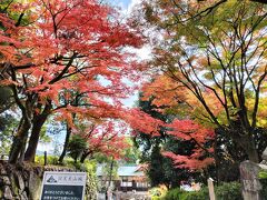 地元旅　犬山さんぽ