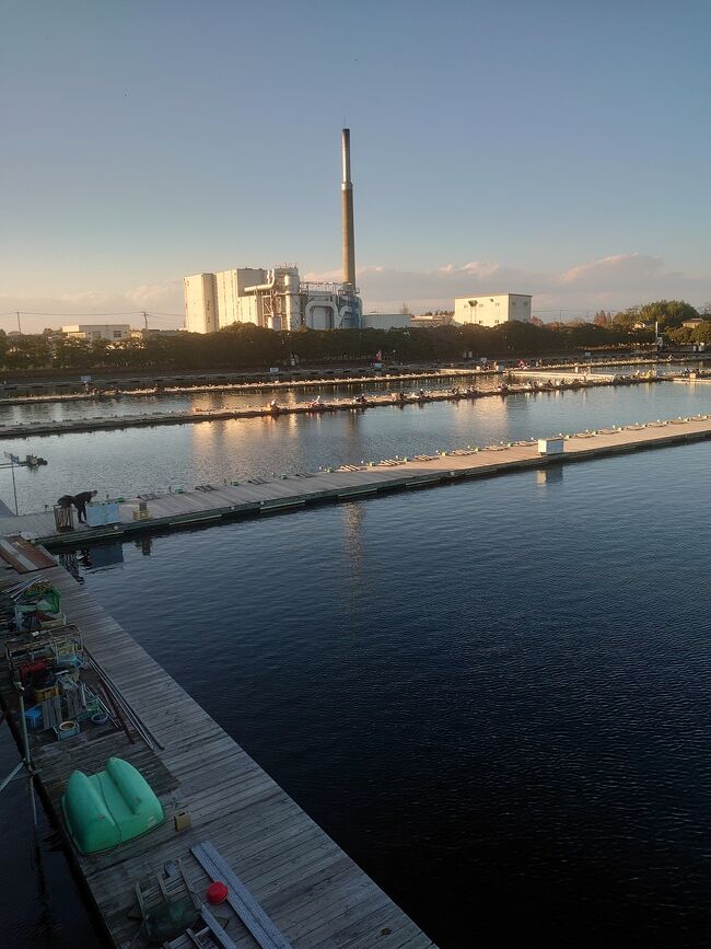 ヘラブナ釣りが盛んな埼玉県。ヘラブナの管理釣り場が多くあります。<br />今回は羽生市にある管理釣り場「椎の木湖」へ行ってきました。<br />規模が大きい管理釣り場で、様々なメジャートーナメントの会場にもなります。<br />釣れるヘラブナのサイズが大きいことでも有名。１枚２キロオーバーの魚も釣れます。<br />東北道の羽生インターのすぐそばにあり、交通の便がよいことから、全国から多くの釣り人が訪れます。<br />私も年に数回お邪魔しています。<br />そんな管理釣り場「椎の木湖」で遊んできました。