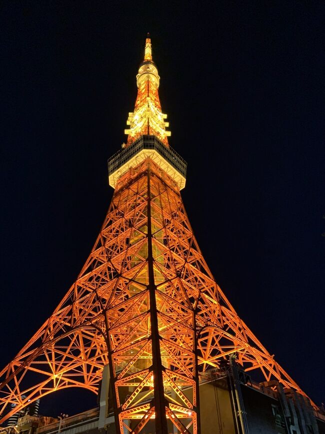 今年は夫婦で海外に３回行ったので「部屋から東京タワーが見えるホテル」には泊まらず終わるかな～と思っていたんだけど、芝の【東京グランドホテル】に「東京タワービュー」の安いプランがあったので行くことに…。<br />各都道府県のアンテナショップにも立ち寄るのが恒例になっていたんだけど、今回は竹芝にある東京（伊豆諸島・小笠原諸島）のアンテナショップだけ(^^;;<br />そして久～しぶりに東京タワーのメインデッキにも昇ってみた♪♪<br />東京タワーも増上寺も数えきれないぐらい行ってるんだけど…、何度行っても楽しめるんだよな～(^^)<br /><br />①の訪問先<br />◇東京愛らんど<br />◇東京グランドホテル<br />◇芝不動尊<br />◇東京タワー<br />◇豚大学<br /><br />② →  https://4travel.jp/travelogue/11872532<br />◇芝東照宮<br />◇芝公園<br />◇増上寺<br />◇TERA CAFE SHIEN ZOJOJI<br />◇熊野神社