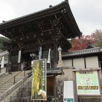 奈良・京都 １１の紅葉名所を巡る旅：その１．「長谷寺」
