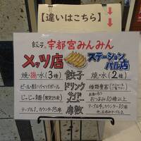  大人の休日倶楽部パス　今回は日帰りです　3日目は宇都宮へ晩御飯を食べに行きました（2日目はありません）