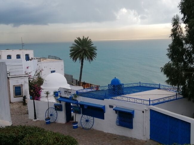 １１月２４日<br />いよいよ最終日。<br /><br />チュニジアという国、ほとんど知識のないまま旅した国ですが、とても好きになりました。会う人々、とても気持ちがいい。本当に素敵な人達<br /><br />天候はギリギリセーフ、最後までこの天気もってくれ～と祈りながら…<br />今日は、カルタゴとシディ・ブ・サイドの観光です。<br />