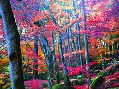 日本の原風景を留めた山裾の隠れ里「教林坊」　
