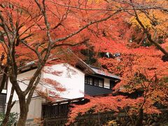 紅葉シリーズ４　紅葉真っ盛りの香嵐渓♪　豊田宿わり利用で1泊しての欲張り撮影三昧♪＆クーポンの使い道は♪