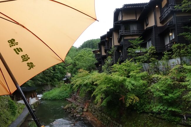 熊本の自然豊かな山奥の地にある黒川温泉は、様々な泉質が楽しめる興味津々な温泉地のひとつでした。日常の疲れをリラックスしようと温泉宿でゆっくりステイの計画をしたところ、たまたまこの日が「露天風呂の日」ということで、温泉街の様々な旅館の露天風呂に無料で日帰り入浴ができるという特別日。これはラッキーです。というわけで、念願だった黒川温泉、1泊2日の経験とは思えないほどにめいっぱい楽しむことができました！