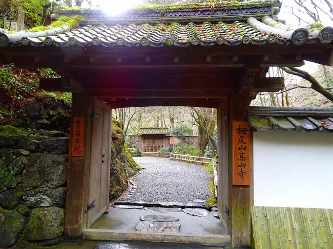 京都　栂尾(とがのお)　高山寺　恋に疲れた女がひとり ・・・<br />「女ひとり」の歌詞にある高山寺へ行って来ました。
